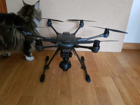 Yuneec TyphoonH - Katze